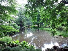 sapporoshokubutsuen_convert_20170906005147.jpg