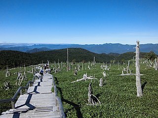 320px-Odaigahara_Masakigahara.jpg