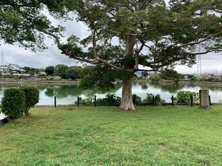 門池公園.jpg