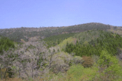 manzairakusan_convert_20151003175820.gif